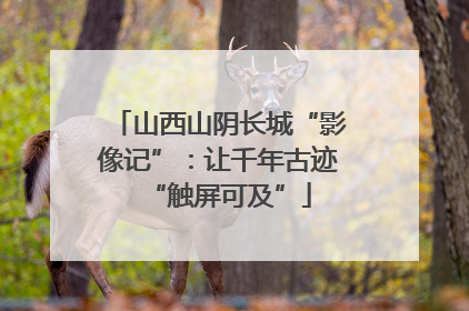 山西山阴长城“影像记”：让千年古迹“触屏可及”
